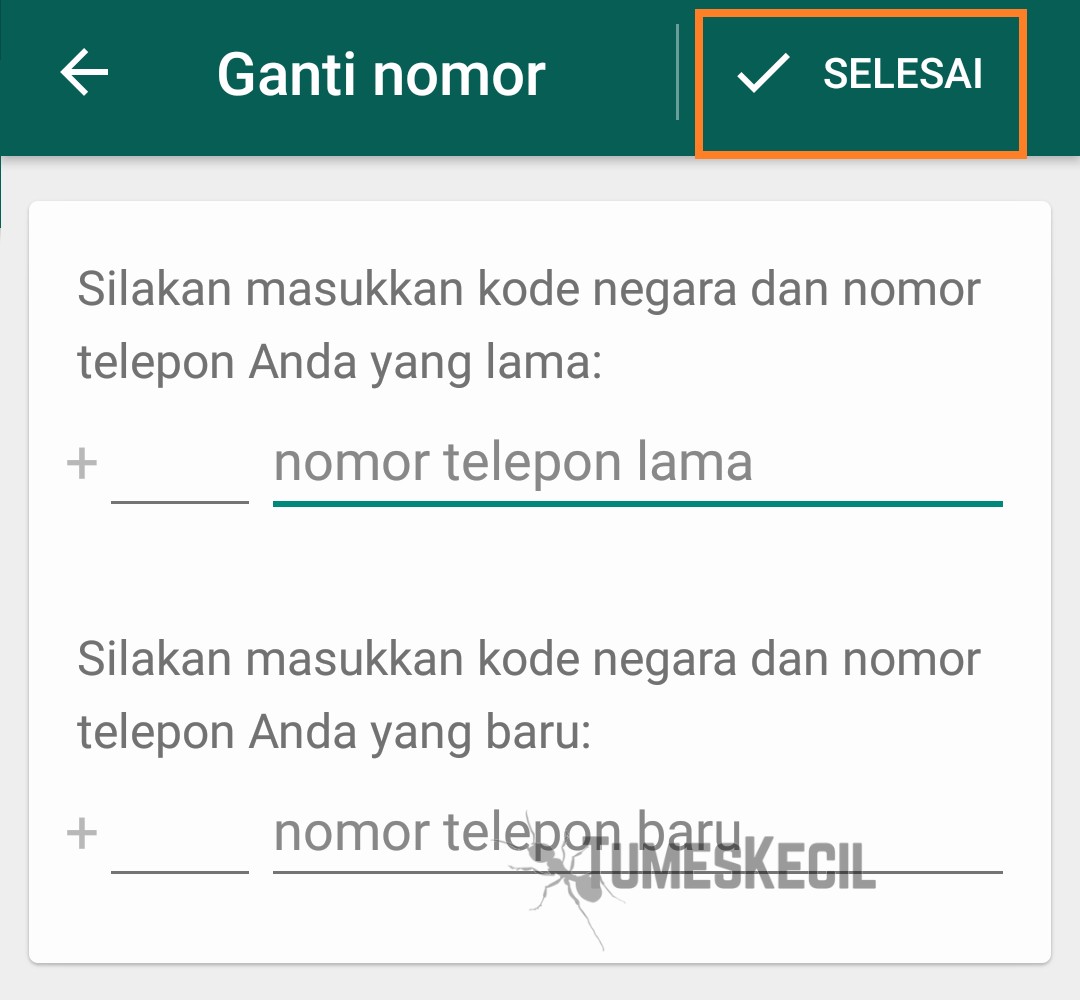 Cara Membuka Whatsapp Yang Diblokir Teman Dengan Mudah Tumes Kecil