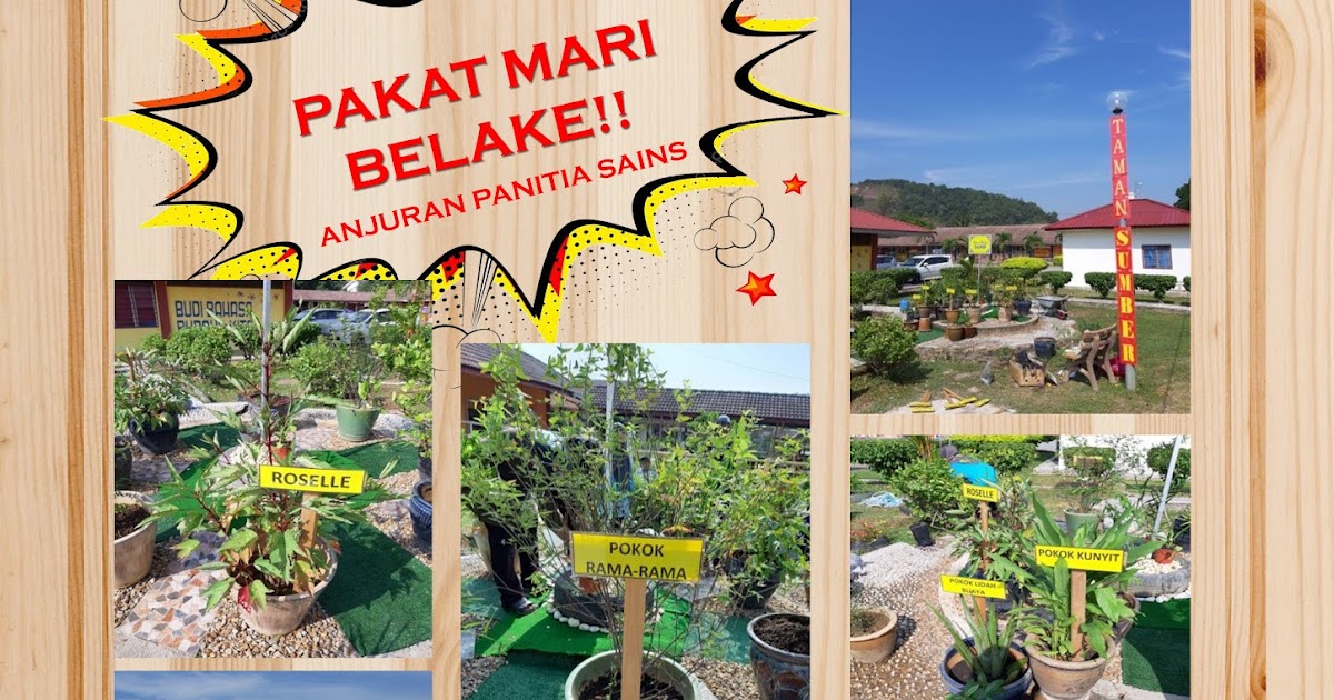 HEBAHAN: JEMPUTAN KE TAMAN HERBA SKPK KUALA TERENGGANU ...