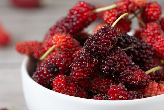Mulberries Health Benefits
