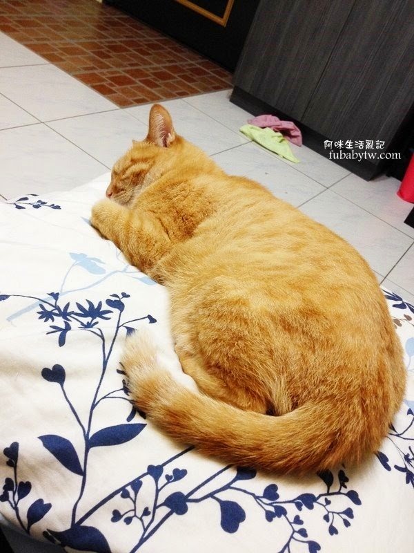 調整大小IMG_6063