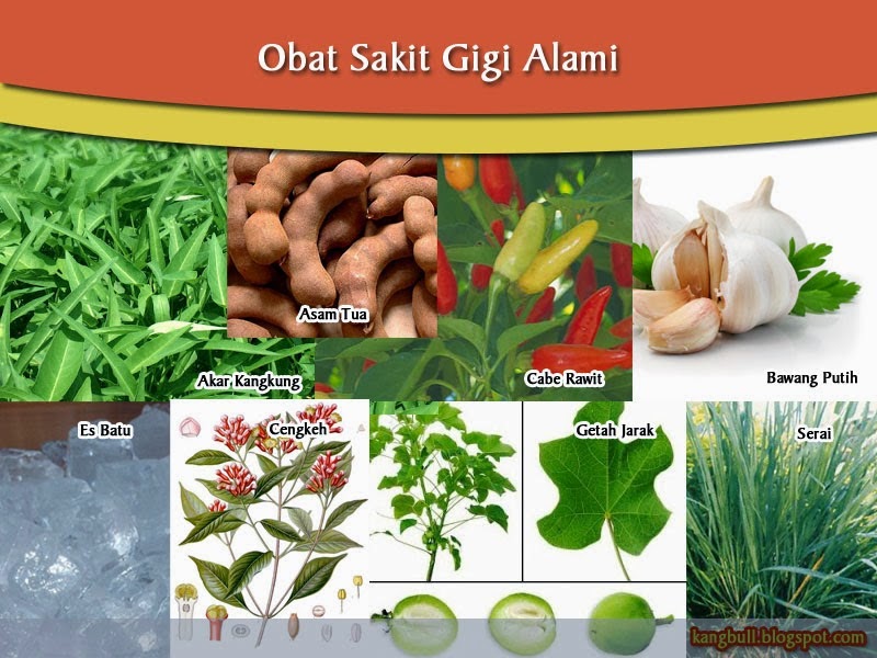 10  Obat Sakit Gigi Alami Yang Aman Bagi Anak dan Ibu Hamil