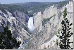 yellowstone will 50