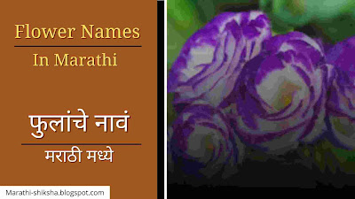 Flowers Names in Marathi With Images
