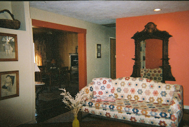 My living room in my rooted house. Missouri, 2005. Credit: Mzuriana.