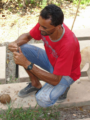 A closer view of Carlos opening a Brazil nut. That's the pod next to his 