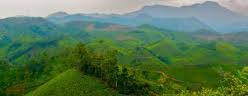 travel_destination_munnar