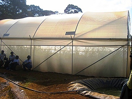 greenhouse