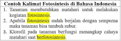 24 Contoh Kalimat Fotosintesis di Bahasa Indonesia dan Pengertiannya