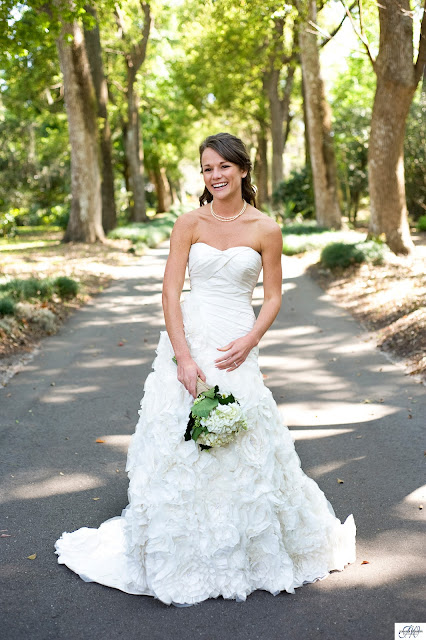 Wedding photography at Leu Gardens