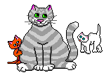 gatinhos
