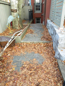 Cabbagetown Toronto Backyard Fall Cleanup Before by Paul Jung Gardening Services--a Toronto Organic Gardener