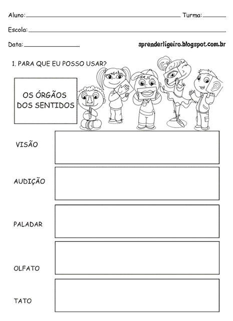 Atividades de Ciências 2° ano fundamental