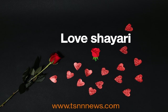 Love poetry: लव शायरी / love poetry in Hindi 