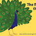  The Peacock and The Crane Story – Moral , Summary with Pictures PDF