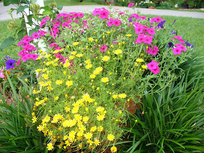 Garden Fertilizer on Family And Flowers  Fertilizer And Skywatch Friday