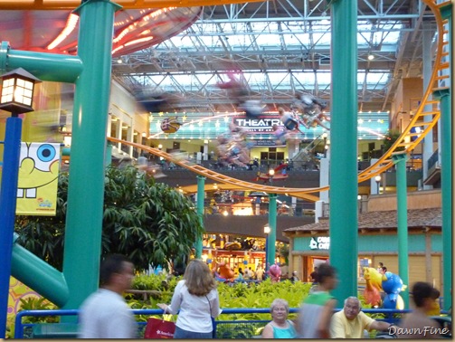 mall of america_20090814_023