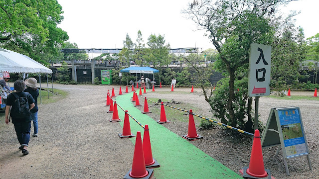 奈良公園 子鹿のお披露目会場