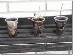 20140418_172438
