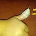 Remove a finger wart with a banana peel