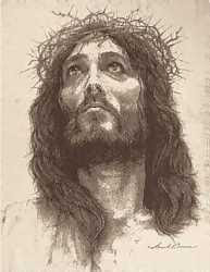 Jesus Christ looking towards sky with crown of thorns drawing Christian image