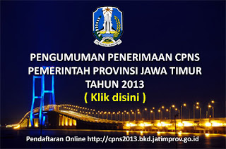 info penerimaan cpns provinsi jawa timur 1