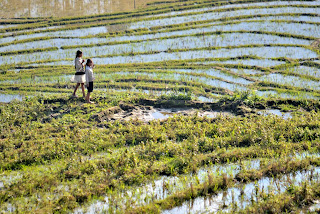 https://ollarpolafiestra.blogspot.com/2018/01/vietnam-sa-pa-1.html