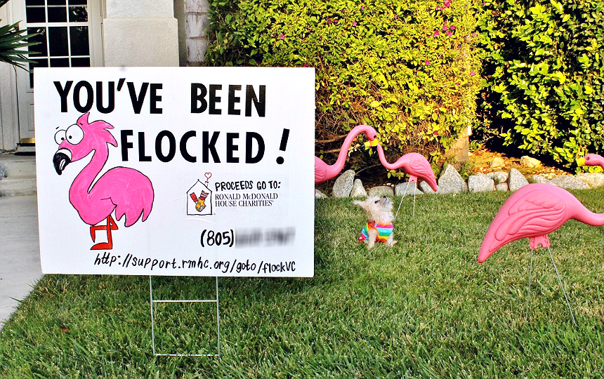 #RaiseLove and have fun with a unique 'You've Been Flocked' fundraiser in your community! #Sponsored