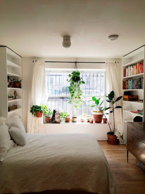 plantas-no-quarto-abrir-janela