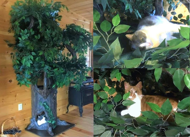 Large Cat Tree