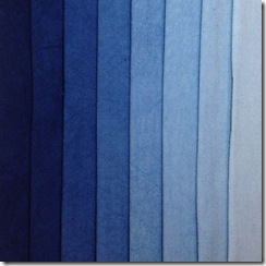 L.Indigo