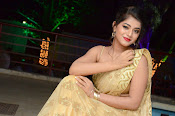 Yamini Bhaskar sizzling in saree-thumbnail-44