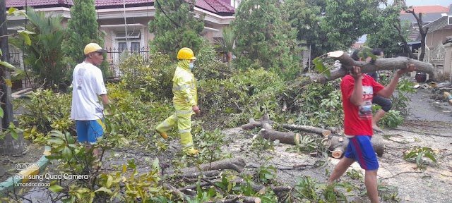 Diterjang Angin Kencang, 36 Rumah Warga Desa Suko Alami Rusak Ringan, BPBD Evakuasi Pohon Tumbang