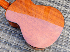 aNueNue Africa Mahogany II Concert Ukulele back