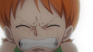 ワンピースアニメ 東の海編 | ナミ 幼少期 | エピソードオブイーストブルー | ONE PIECE Episode of East Blue