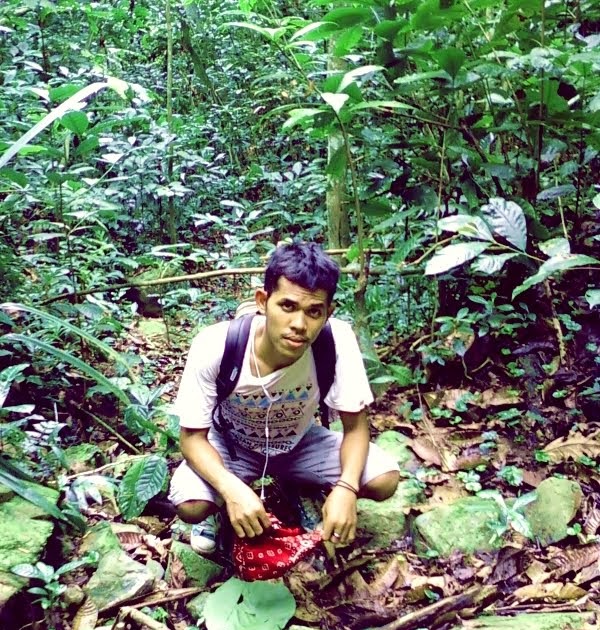 Teknik Pembibitan dan pemeliharaan Pohon eboni ~ FORESTER 