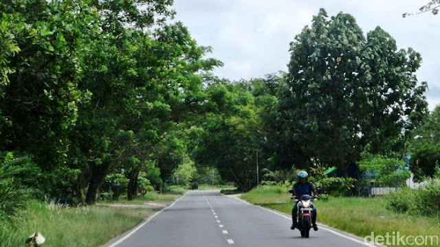 Pemerintah Sudah Siapkan 300.000 Ha Lahan untuk Ibu Kota Baru