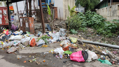 Garbage-problem-in-Narhe-village
