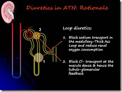 Slide39