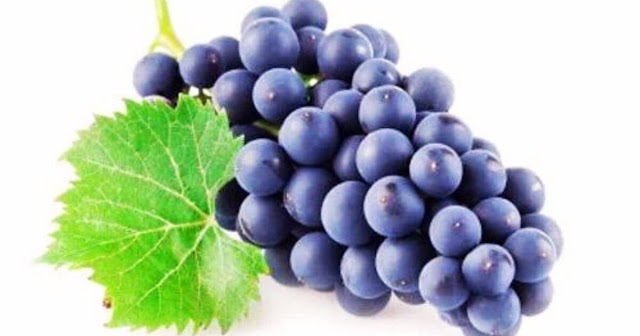 Discover the Nutritional Benefits of Purple Grapes