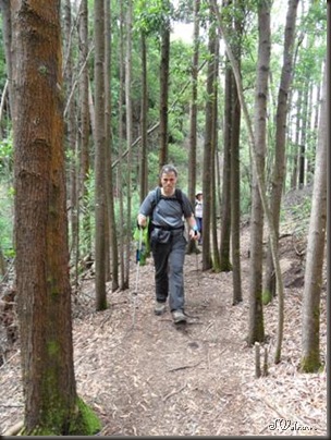 SAM_0254