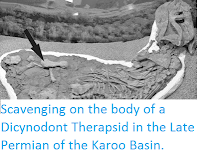 http://sciencythoughts.blogspot.co.uk/2014/04/scavenging-on-body-of-dicynodont.html