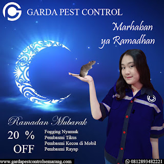 Call : 081289348221 Jasa Pembasmi Hama Tikus di Setu Bekasi