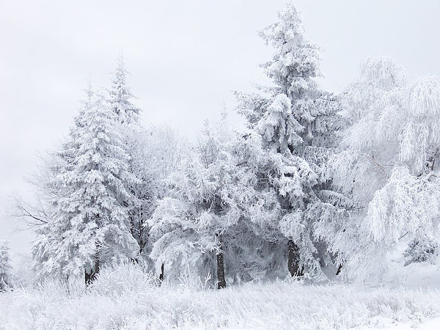 https://commons.wikimedia.org/wiki/File:Snow_Scene_at_Shipka_Pass_1.JPG