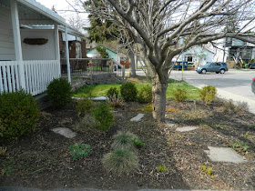 Birch Cliff Toronto Scarborough Front Yard Spring Garden Cleanup After by Paul Jung Gardening Services a Toronto Gardening Company
