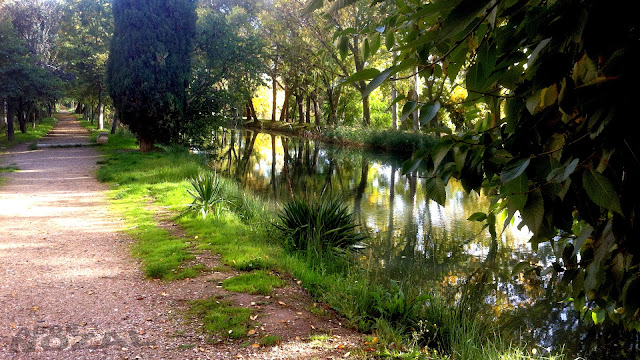 Ramal del Canal de Castilla, 2013 Abbé Nozal