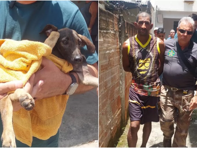 Homem é preso após ser flagrado enquanto agredia filhote de cachorro na Bahia