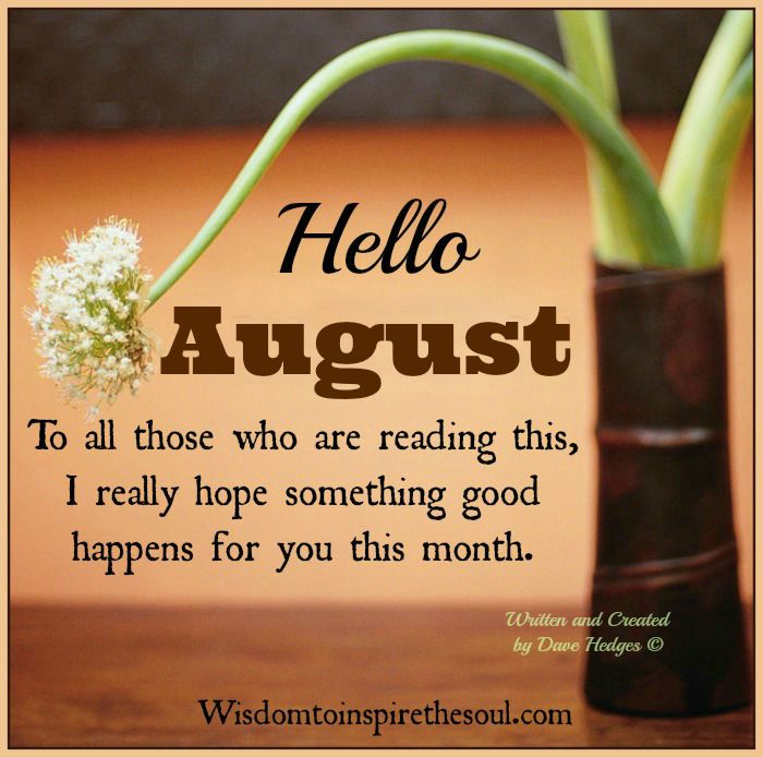 The Motivation Hotel: Hello August.