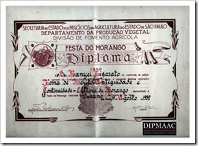 diploma cópia