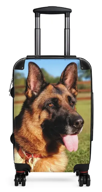 Travel Suitcase With Close Up Face of Huge West Show Line Black and Red German Shepherd