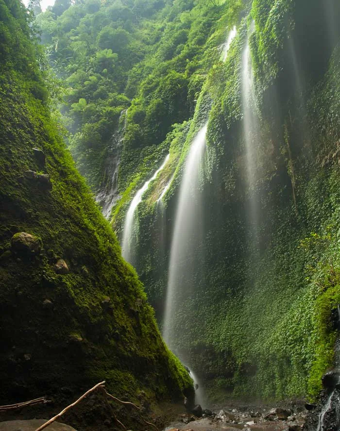 Fasilitas Madakaripura Waterfall